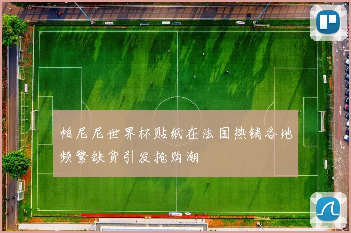 帕尼尼世界杯贴纸在法国热销各地频繁缺货引发抢购潮