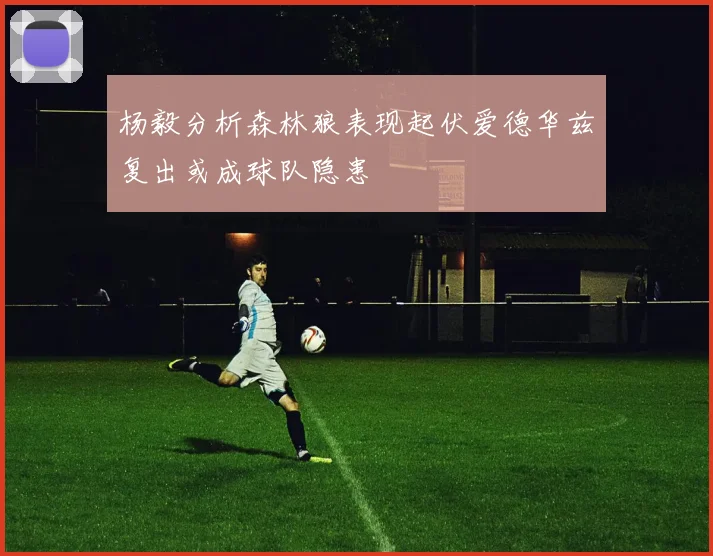 杨毅分析森林狼表现起伏爱德华兹复出或成球队隐患